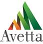 Avetta logo